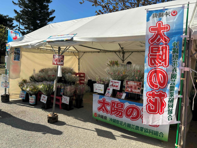 花食②